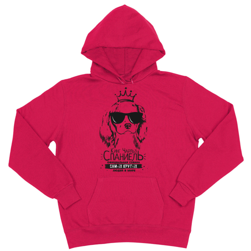 Толстовка "Кинг Чарльз Спаниель для крутых"