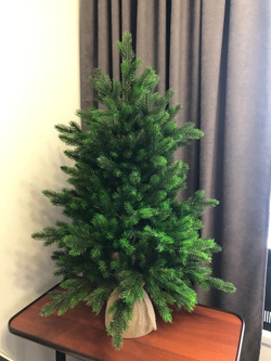 Ель Царь Елка Астерия Премиум 90см 3D