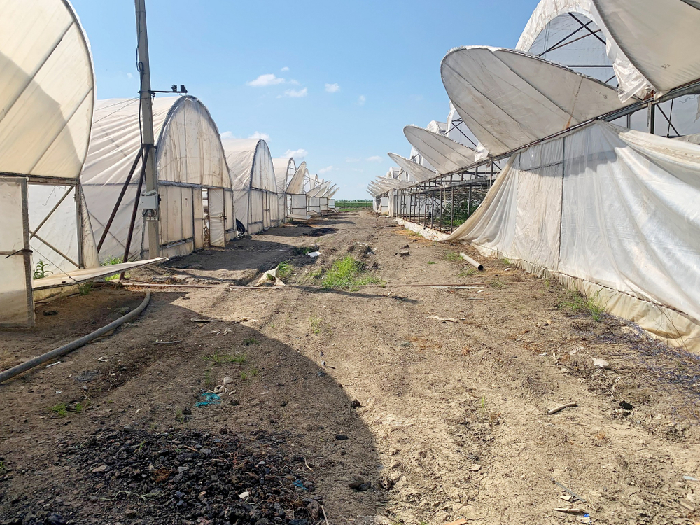 Готовый тепличный бизнес в ст.Петровская, Славянского района