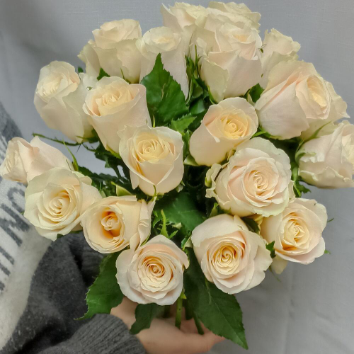 Букет из кремовой Кенийской розы 21 шт высотой 35 см