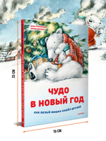 Чудо в Новый год: как Белый Мишка нашёл друзей