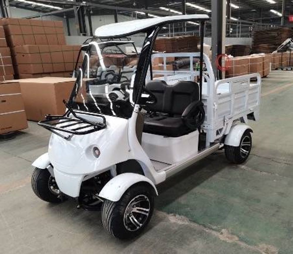Гольфкар GreenCamel A2C (2+Cargo 2500W 225/40-10&#39; литые)