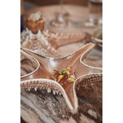 Блюдо для подачи 28*28 см h6 см 100 мл Звезда Pearl Starfish Frutti di Mare P.L. [1]