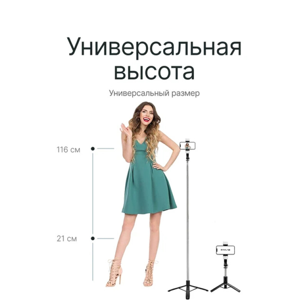 RAYLAB MT-Light 21-116cm