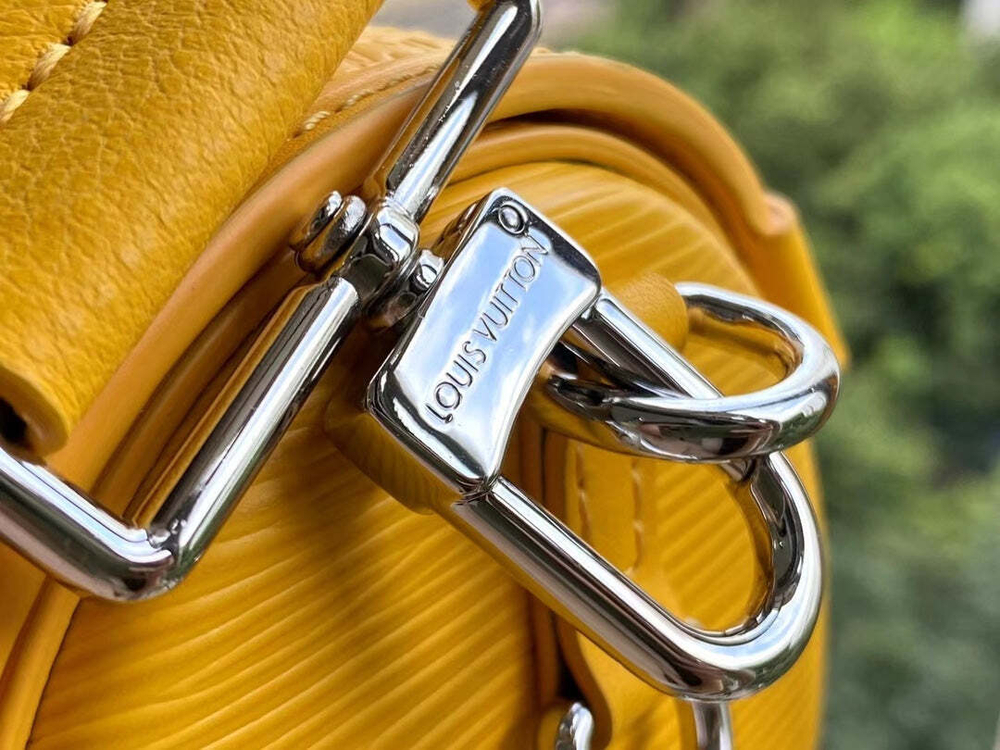 Louis Vuitton Papillon Trunk