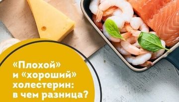 Плохой и хороший холестерин. В чем разница?