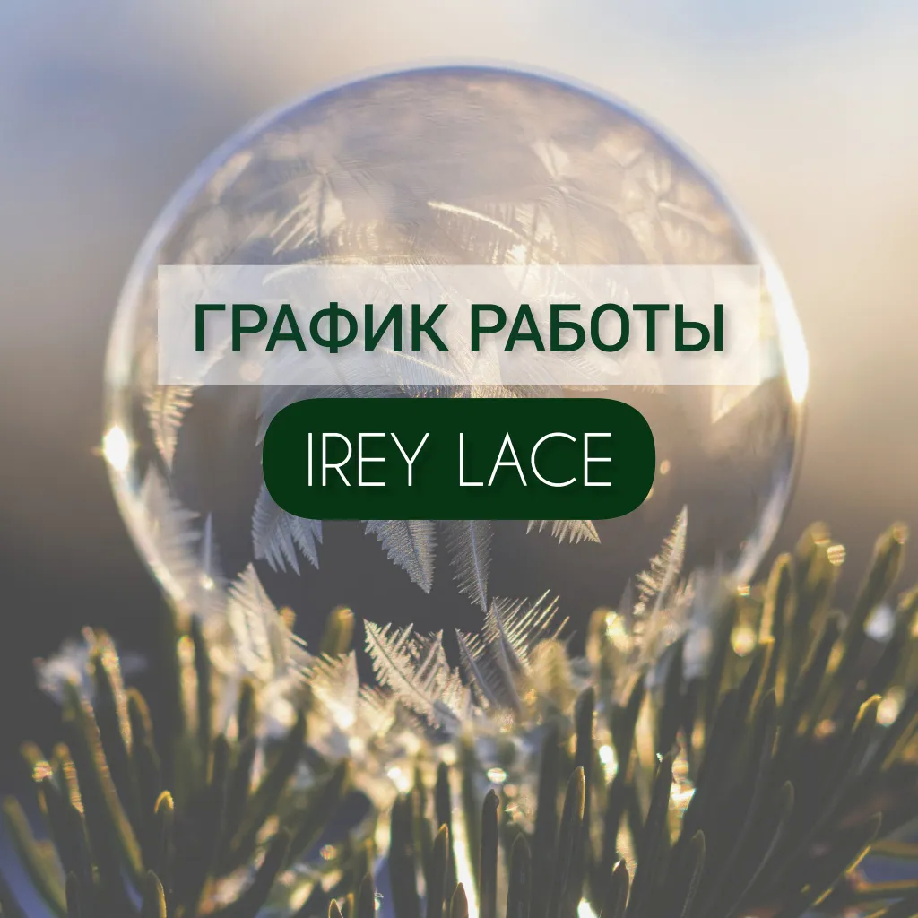 График работы магазина с 29 декабря 2023 г. по 8 января 2024 г.