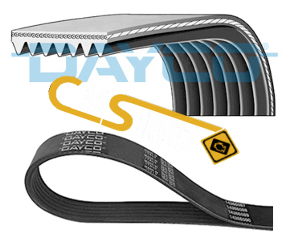DAYCO - 7PK2035S