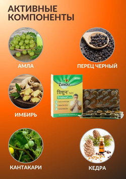 Тришун от температуры и простуды trishun Zhandu