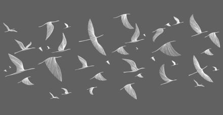 Фотообои Журавли летят (Ширина 5,2 м)