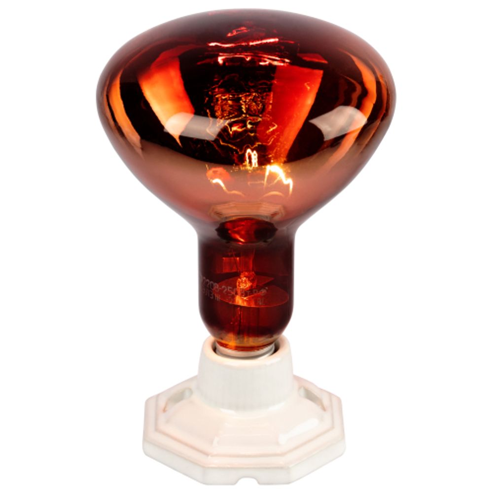 Светильник для инфракрасной лампы ЭРА FITO-Holder-CAP-light 3 м патрон-основание керамический с кабелем и цоколем Е27 | Светильники для растений