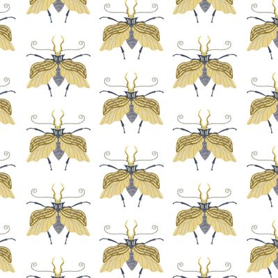 Жуки серо-жёлтые