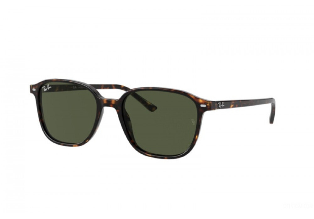 RAY-BAN LEONARD RB2193 902/31