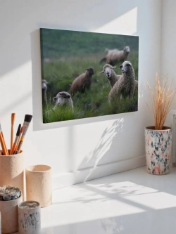 Картина на стену 40 X 50 Овцы