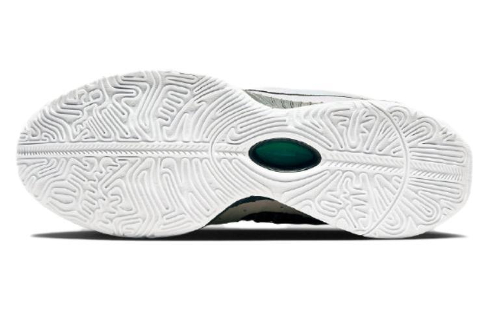 Кроссовки Nike Lebron 21 "Conchiolin" Ep