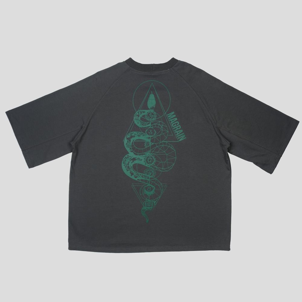 Футболка Реглан SNAKE