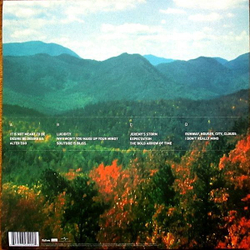 Виниловая пластинка Tame Impala Innerspeaker
