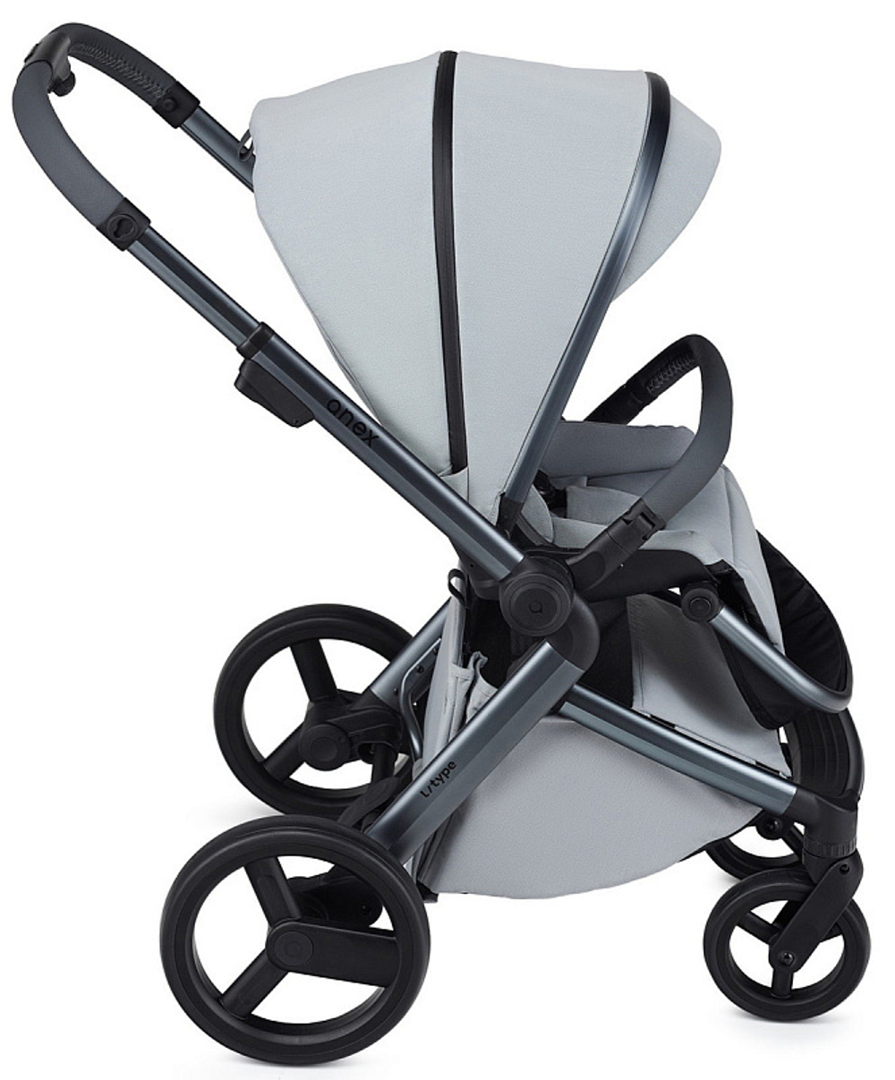 Детская коляска Anex l/type 2 в 1 lt-10t frost