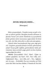 Gənc şairin dilemması