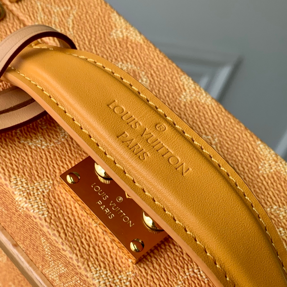 Louis Vuitton Handle Trunk