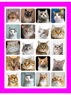 Наклейки детские на телефон стикеры на карту Котики