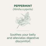 Traditional Medicinals, органическая перечная мята, без кофеина, 16 чайных пакетиков, 24 г (0,85 унции)