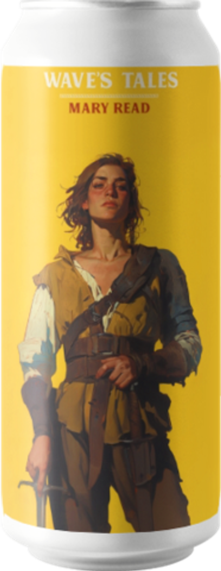 Пиво План Б Вэйвс Тэйлс Мэри Рэд / Plan B Wave's Tales Mary Read 0.45 - банка