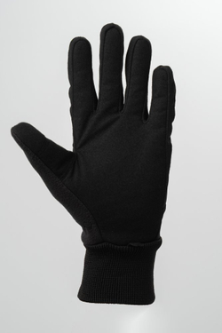 Перчатки Nordski Motion WS