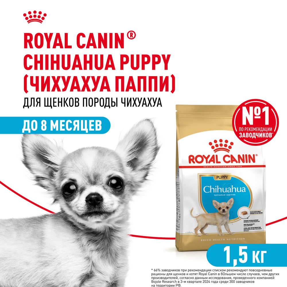 Royal Canin Chihuahua Puppy Корм сухой для щенков породы Чихуахуа до 8 месяцев 1,5 кг