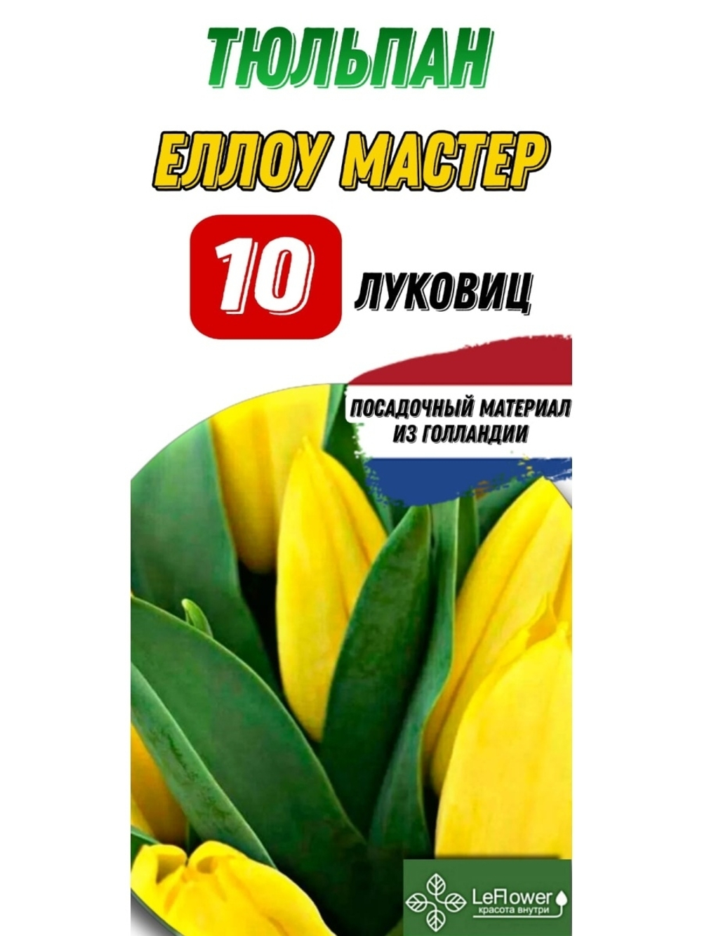 Тюльпан Луковица, Еллоу Мастер, 10шт