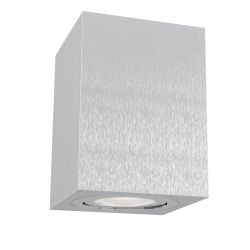 Светильник потолочный Maytoni Alfa C017CL-01S