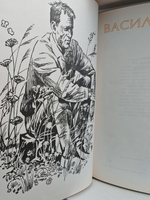 Василий Шукшин. Рассказы