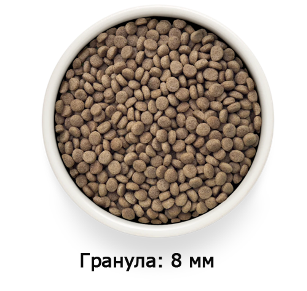 GRANDORF VETDIET Urinary S/O Turkey - ВЕТДИЕТА для кошек против струвитных мочевых камней.