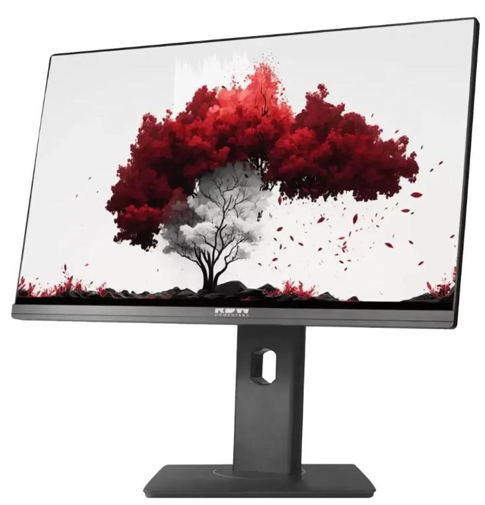 Монитор 23,8" RDW Computers RDW2402K