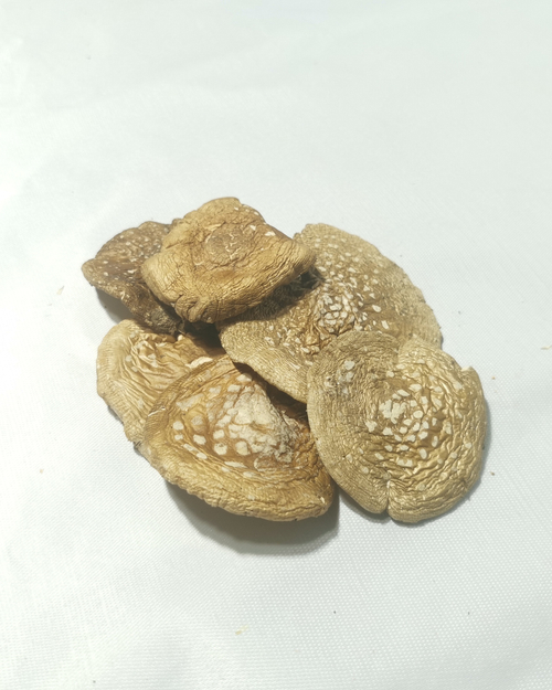 Мухомор пантерный шляпки ВС