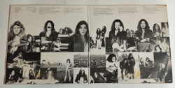 Винтажная виниловая пластинка LP Deep Purple Come Taste The Band (Japan 1975) (No Obi) EX