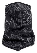 Маска Harley-Davidson