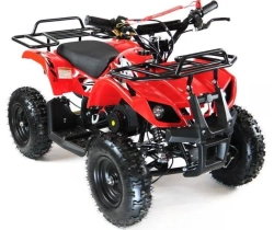 Квадроцикл MOTAX ATV Mini Grizlik X-16 (э/с)