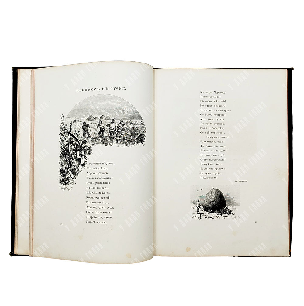 Полевой П. Родные отголоски. (Малорусская жизнь и природа). Сборник стихотворений. 1881