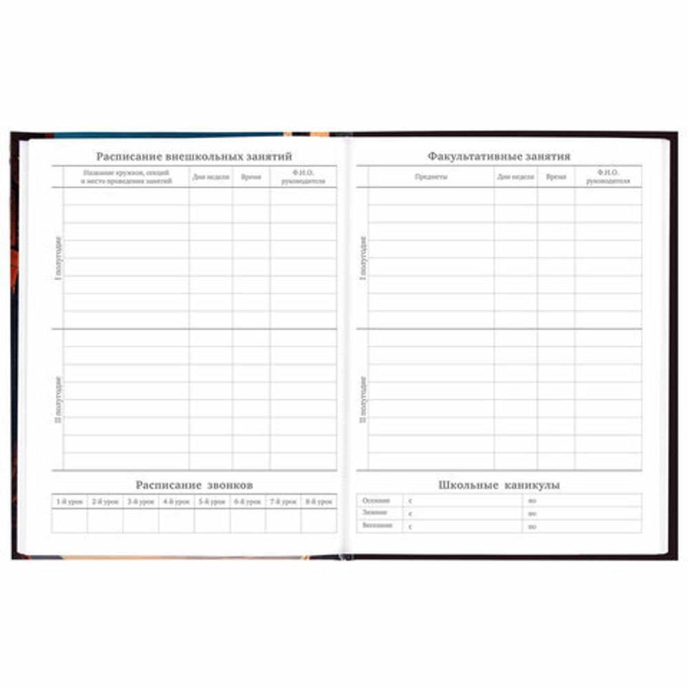 Дневник 5-11 класс 48 л., твердый, BRAUBERG, глянцевая ламинация, с подсказом, "Мир будущего", 106870