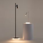 Напольный светильник (торшер) Maytoni Z010FL-L8B3K