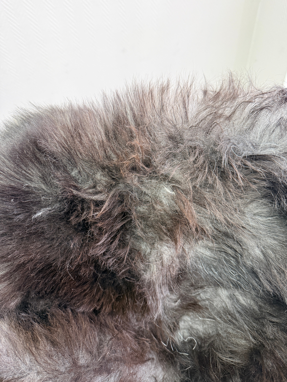 Шкура коврик меховой прикроватный овчина, 120х65 см.