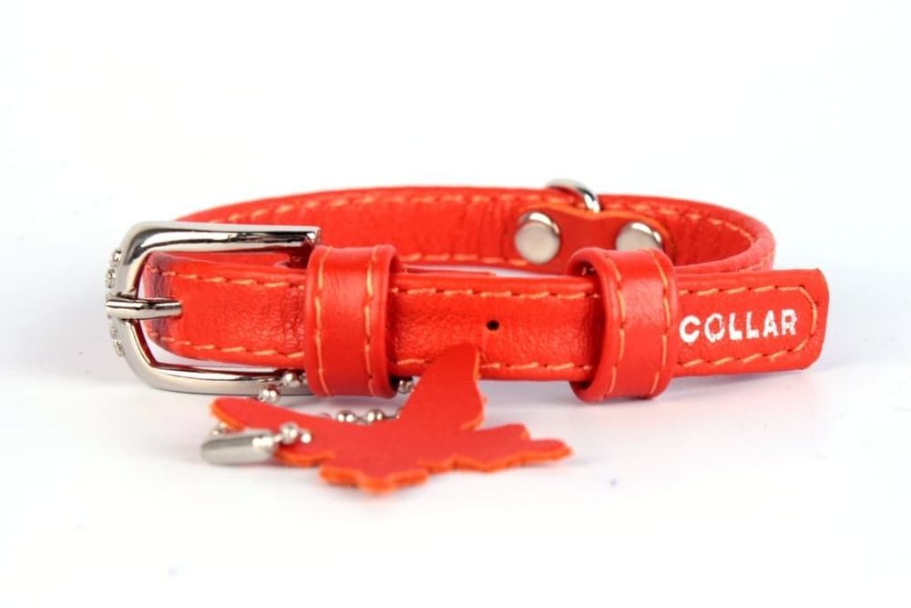 Ошейник &quot;CoLLaR Glamour&quot; без украшений оранжевый ширина 13мм, длина 21-29см