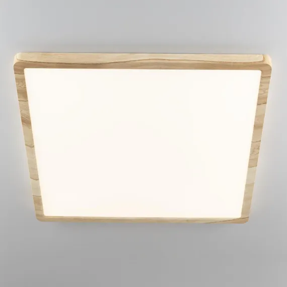 CL738K502V Бейсик Клен Св-к Накл. LED 50W*Мульти