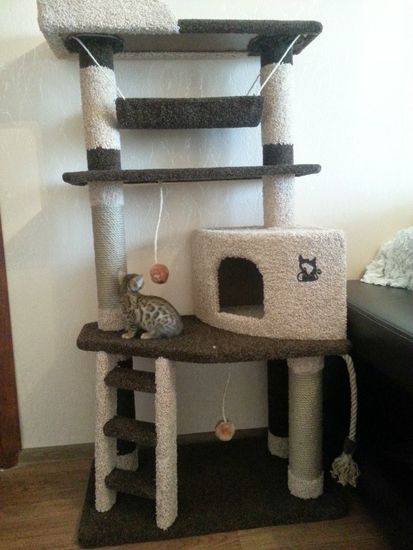 Комплекс для кошек И-8