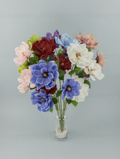 Магнолия Королевская