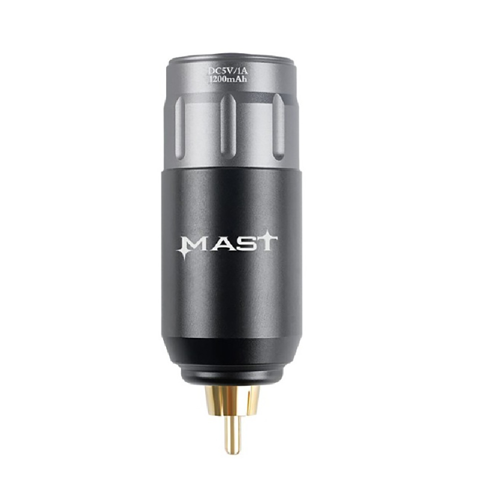Блок питания Mast P 113 RCA