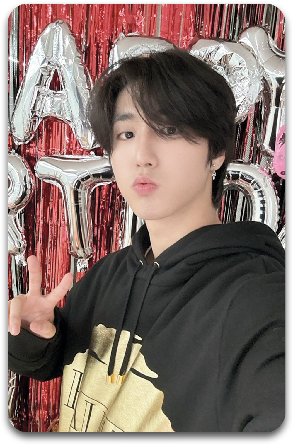 Карта / STRAY KIDS #1733