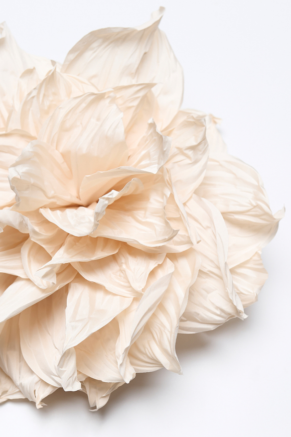 Брошь Pion, крем-брюле