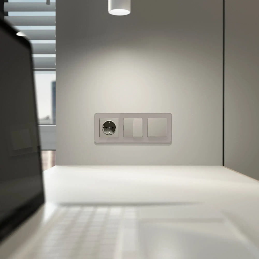 Перекрестный выключатель двухклавишный (дымчатый матовый) W1223004